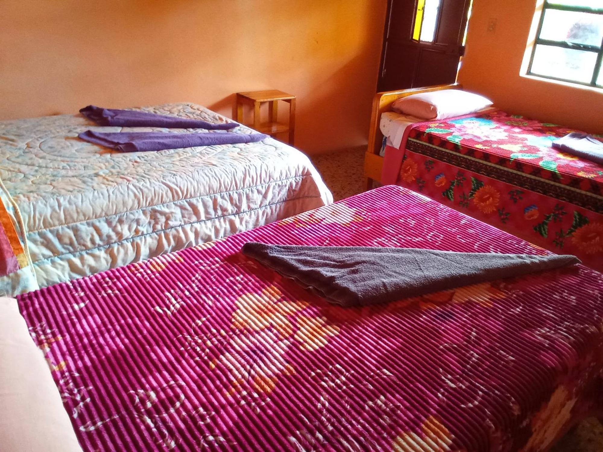 Hospedaje Santo Domingo パナハチェル エクステリア 写真