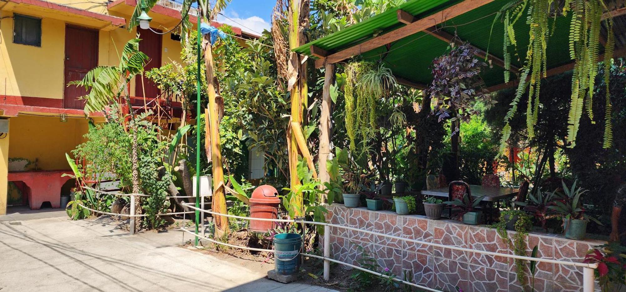 Hospedaje Santo Domingo パナハチェル エクステリア 写真