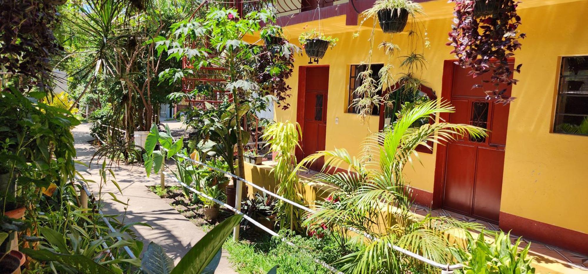 Hospedaje Santo Domingo パナハチェル エクステリア 写真