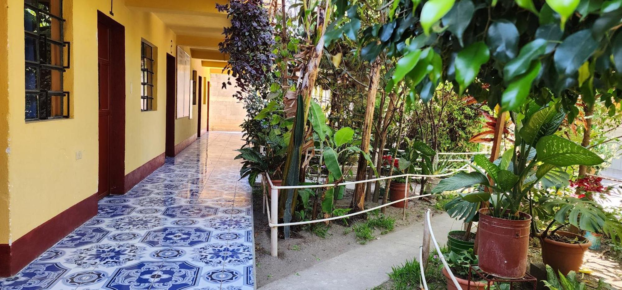 Hospedaje Santo Domingo パナハチェル エクステリア 写真